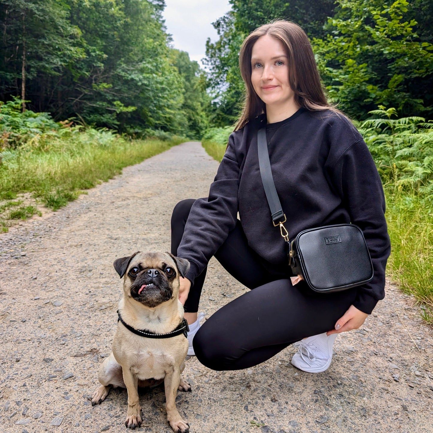 Stylish pet accessory bag for organised dog walks