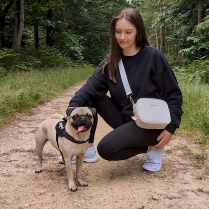 Stylish pet accessory bag for organised dog walks